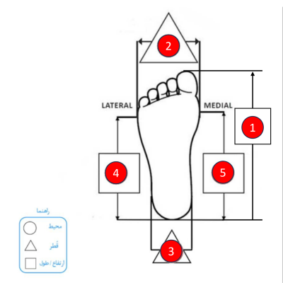 UCBL پای راست تصویر نمایشی